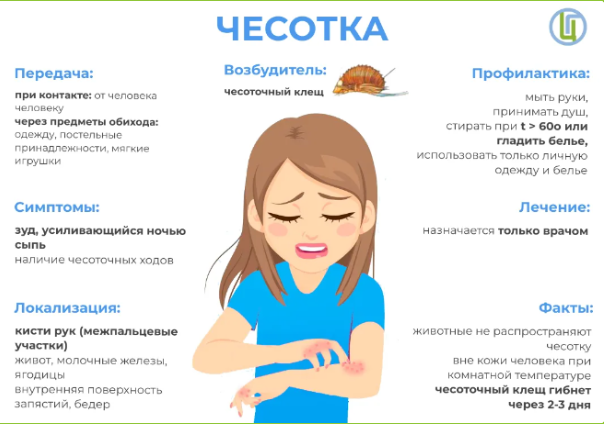 assets/images/chesotka.png