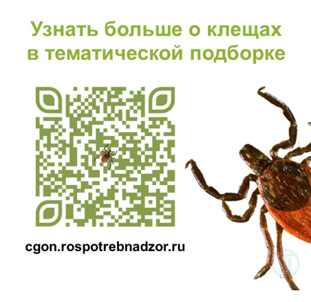 assets/images/vnimanie klesi.png